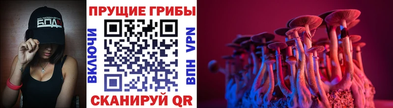 Галлюциногенные грибы мухоморы  OMG   Алдан  купить  цена 